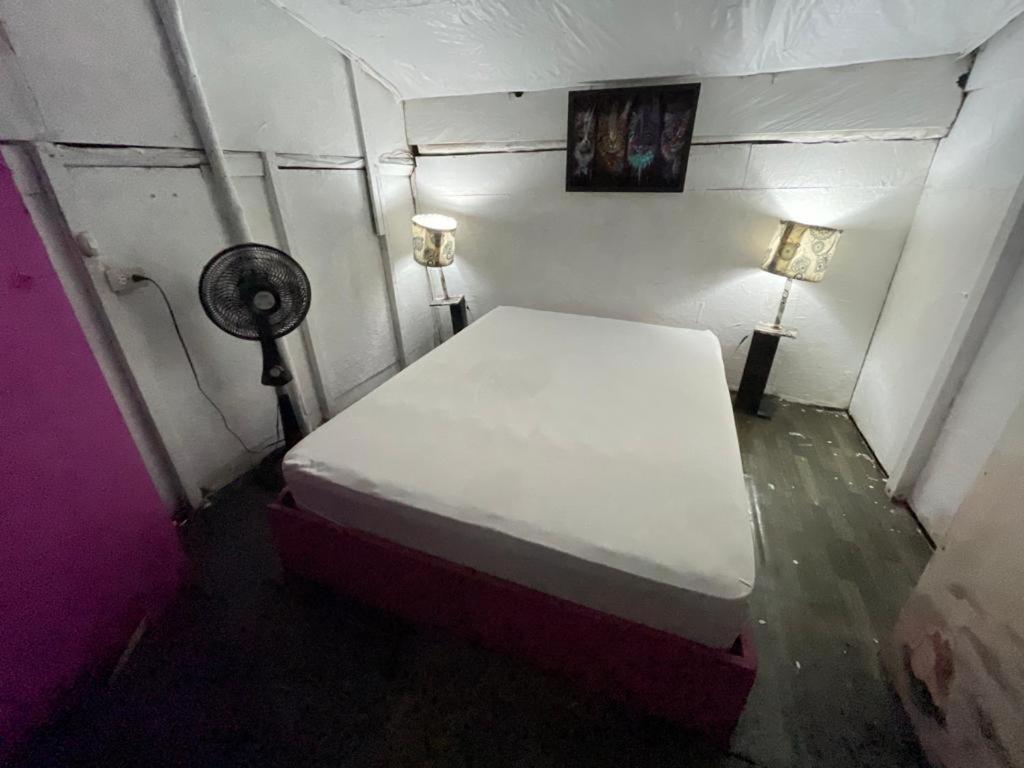 ホテル Mandala Beach Isla Barú エクステリア 写真
